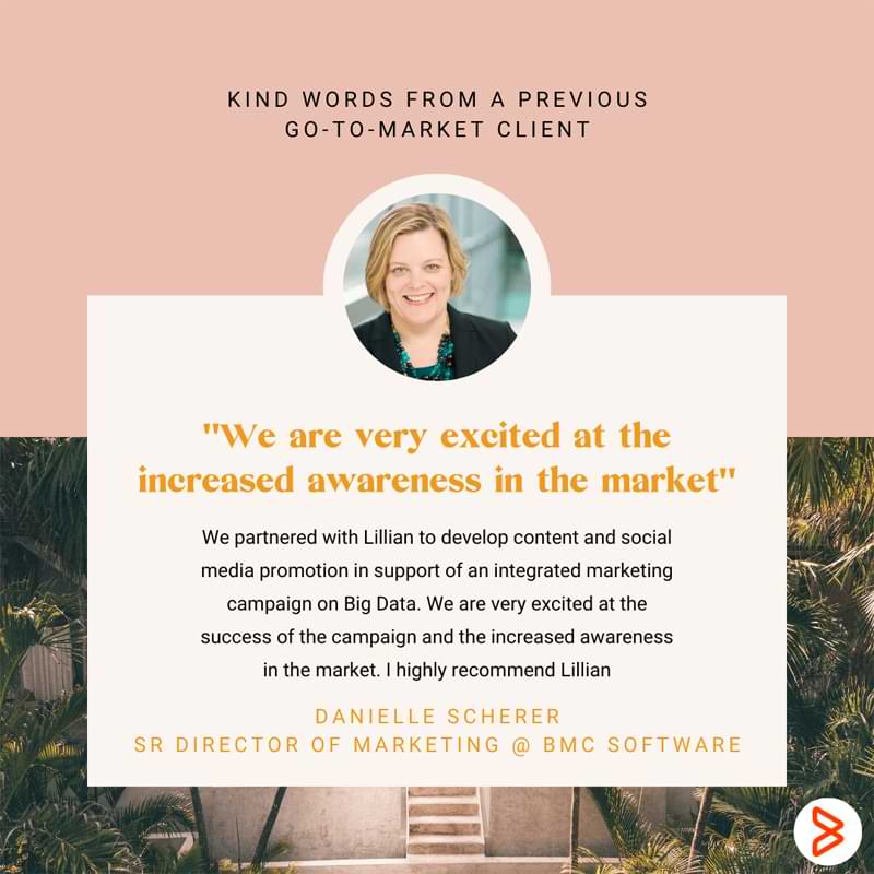 DANIELLE-SCHERER-DATA-MANIA-GO-TO-MARKET-SERVICES-REVIEW