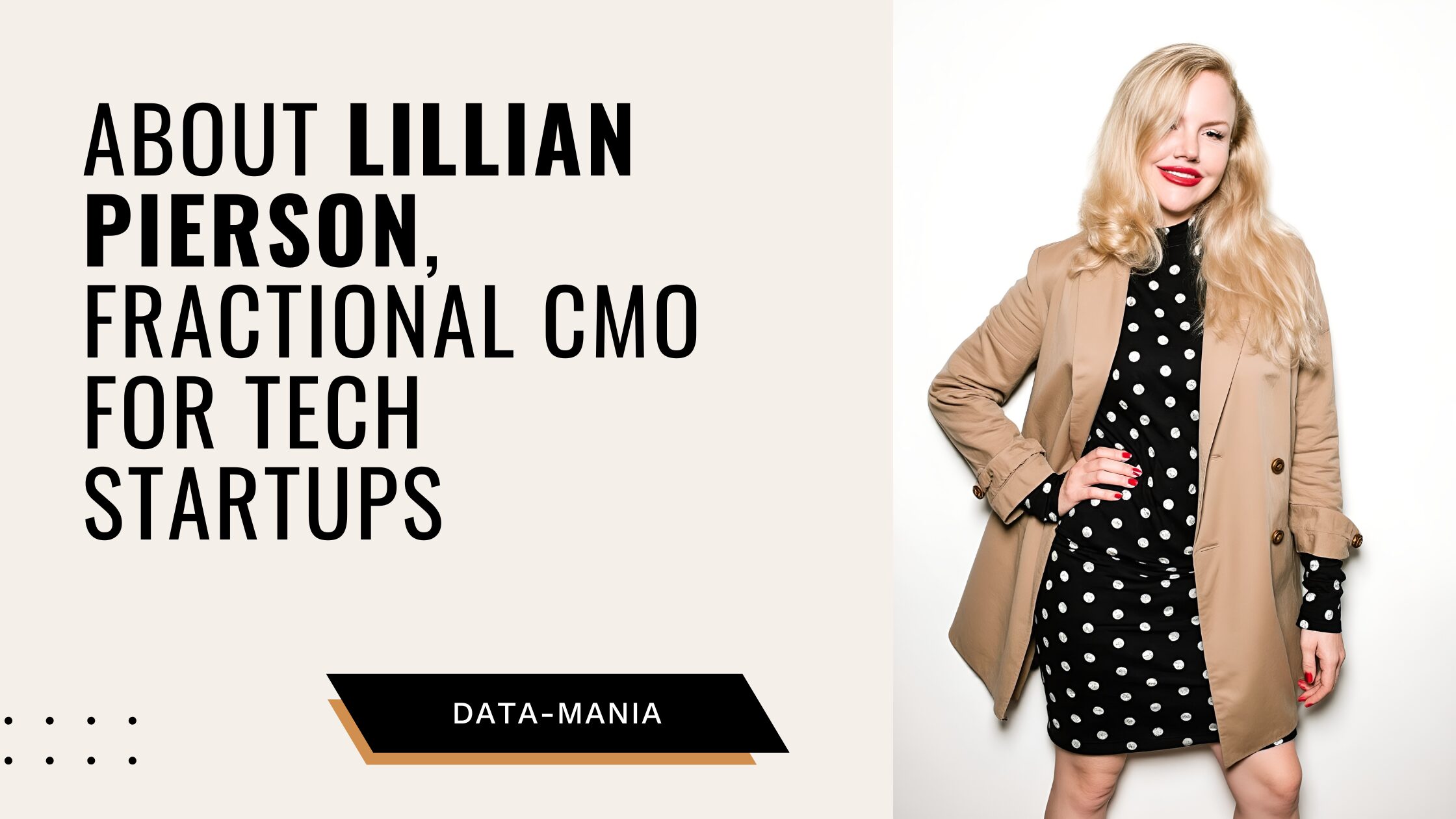 Lillian Pierson, Fractional CMO