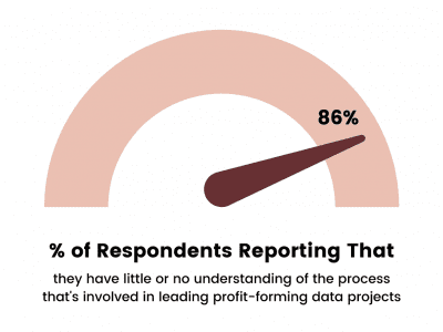 lillian pierson cusomter challenges product portfolio